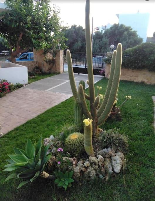 Antonia Apartment ปลาเกียส ภายนอก รูปภาพ
